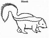 Skunk Coloring Pages Animals Color Drawing Animal Ferret Footed Print Getdrawings Sheets Dnr sketch template