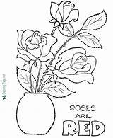 Coloring Pages Valentine Roses Red Rose sketch template