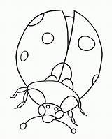 Coloring Ladybug Printable Pages Popular sketch template