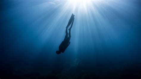 zen and the art of not dying what i learned freediving in