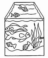 Fish Aquarium Tank Drawing Coloring Nemo Pet Paintingvalley Pages Sketch Drawings Netart Explore Collection sketch template
