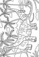 Dino Dover Doverpublications Sheets Dinosaurios Desde Dinossauros Uleso Puntillismo sketch template