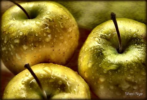 golden apples  sheri nye redbubble
