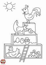 Kippen Coloriage Kippenhok Kip Kuikens Poules Kleuren Pasen Tfou Boerderij Kolorowanki Leurs Oeufs Eieren Wielkanoc Kinderkleurplaten Bladzijden Dla Paques Jajka sketch template