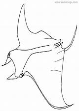 Stingray Coloring Xcolorings sketch template