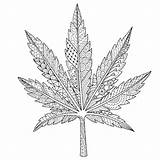 Leaf Marijuana Vector Weed Premium Pattern Background Cartoon Cannabis Color Kawaii Seamless Similar Logo sketch template