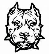 Pitbull Dog Decal Bull Car Pit Drawing Pitbulls Vicious Awesome Clipart Coloring Pages Puppy Decals Tribal Silhouette Getdrawings Staffordshire Clipartbest sketch template