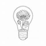 Bulb Lightbulb sketch template