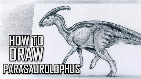 learn   draw  parasaurolophus  jurassic park  jurassic world youtube