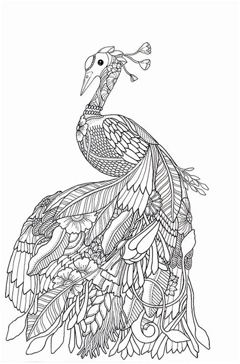 images  adult coloring pages  pinterest coloring pages
