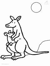 Kangaroo Coloring Clipart Cartoon Australian Animals Pages Library Kids Printable sketch template