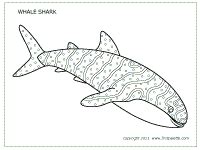whale shark coloring page shark coloring pages whale coloring pages