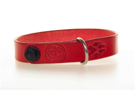 hundehalsband aus echtem rot gefärbtem leder mit dem innovativen loxx verschluss accessories