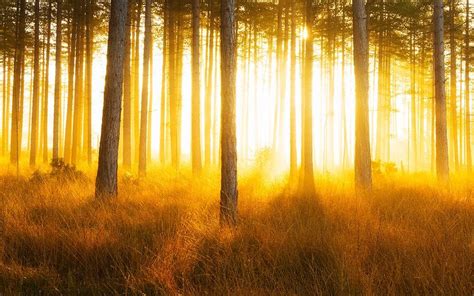 landscape photography professional tips  advice