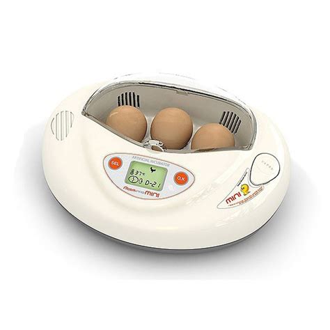 lazada egg incubator bator