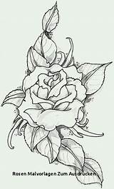 Rosen Ausmalen Blumen sketch template