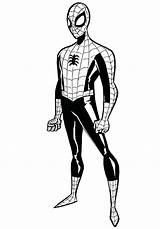 Spiderman Spider Procoloring Filminspector sketch template
