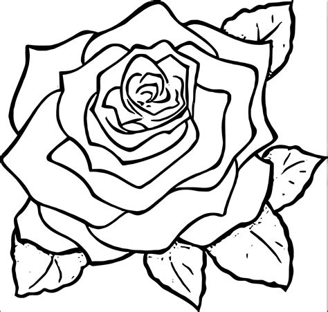 rose flower coloring page  wecoloringpagecom