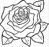 Rose Flower Coloring Wecoloringpage Pages sketch template
