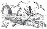 Sarcosuchus Pages Liopleurodon Hodarinundu Prehistoria Cocodrilos Prehistoric Pisco sketch template