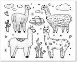 Coloring Book Alpacas Pdf sketch template