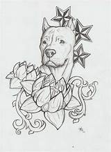 Pitbull Bull Pitbulls Tatuaje Dogs Rednose Diseños sketch template