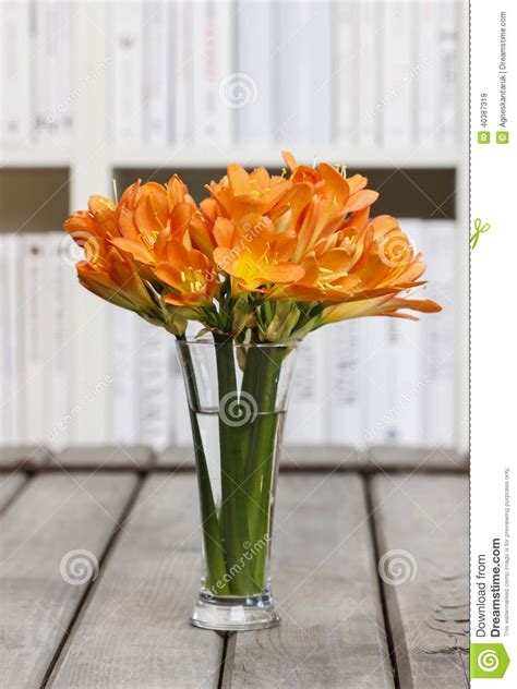Bouquet Of Orange Clivia Flowers In Glass Vase Stock