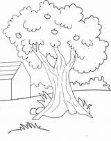 Pohon Mewarnai Papan Menggambar sketch template