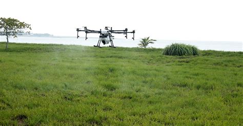pros  cons  drone   agriculture  insider