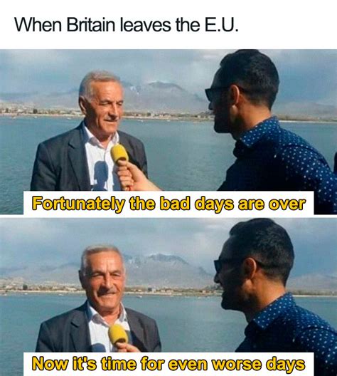 memes brexit supporters  wont find funny demilked