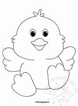 Chick Coloring Chicks Pages Cute Baby Easter Drawing Colouring Chicken Templates Egg Printable Color Print Kids Year Old Coloringpage Eu sketch template