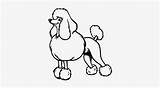 Perro Poodle Caniche Snooty Pngkit sketch template