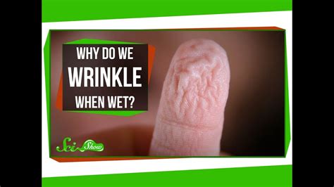 Why Do We Wrinkle When Wet Youtube