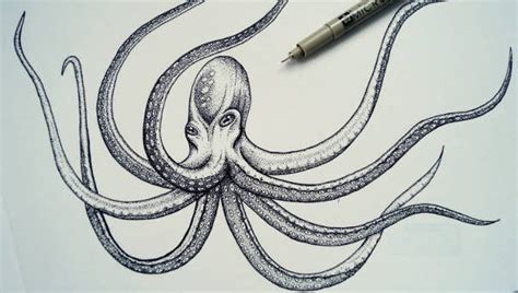 octopus drawings  ai
