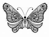 Coloring Pages Adults Butterfly Adult Animals Animal Printable Kids Bestcoloringpagesforkids Uncolored Folk Ornaments Tattoo Lot Sweet Templates Vector Abstract Beautiful sketch template