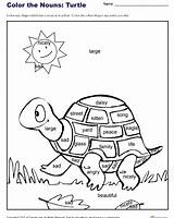 Nouns Kindergarten Turtles Curated sketch template