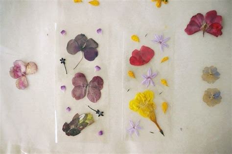 diy pressed flower laminated bookmarks · how to make a