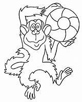 Macaco Jogando Tudodesenhos sketch template