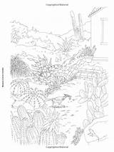 Amazon Coloring Barlowe Dot Gardens Flower Color Gemerkt Von Dover Book sketch template
