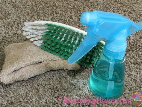 naturally clean vomit  carpet  furniture   post vomit