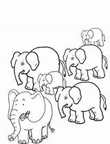 Elefanti Herd Noun Colorare Coloring Elefante Creativi Sketch Atuttodonna sketch template