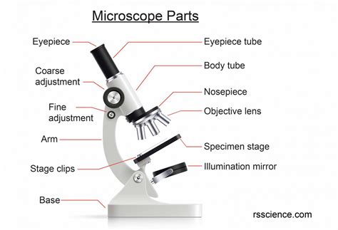 tips      care   microscope rs science