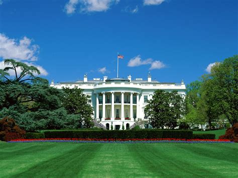 white house pictures  stock   stock