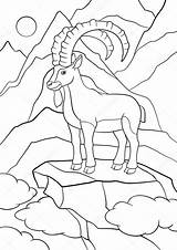 Ibex Colorare Stambecco Animais Montanha Horns Carino Corna Mayka sketch template
