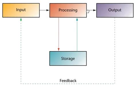 input processing output storage  feedback ict