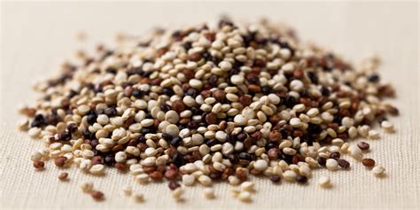 quinoa   healthy diet menu health guide