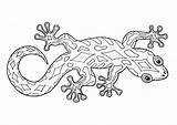 Gecko Malvorlage Malvorlagen Kinderbilder Ausmalen sketch template