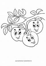 Coloring Apfel Lachende Birne Malvorlage Fruechte Aepfel Malvorlagen sketch template