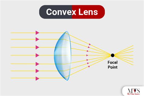 convex lens  functions  types