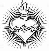 Sacred Sagrado Cuore Sacro Flaming Burst Cristo Coração Corazón Sagrados Anatomical sketch template
